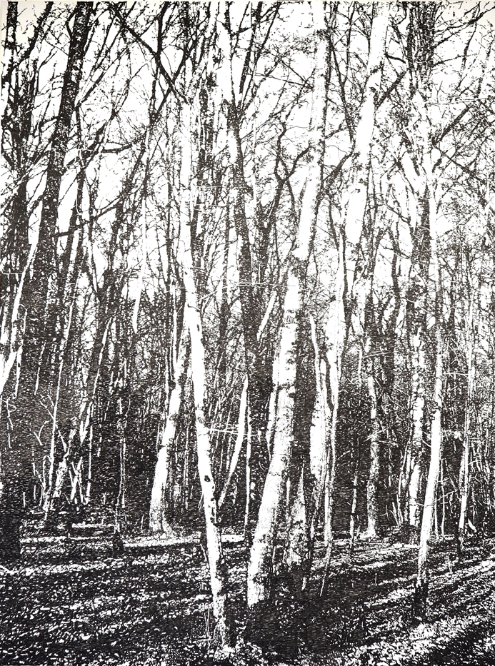 sans-titre-2018-encre-de-chine-sur-toile-160-x-120-cm-72dpi
