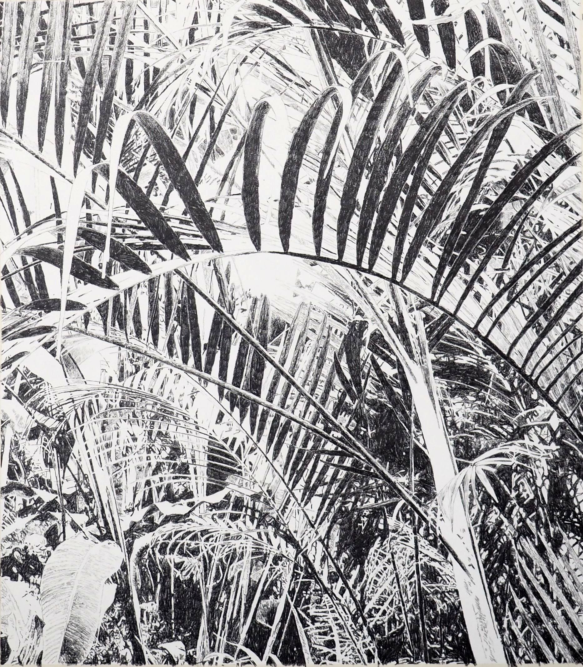 sans-titre-2018-graphite-sur-papier-80-x-70-cm