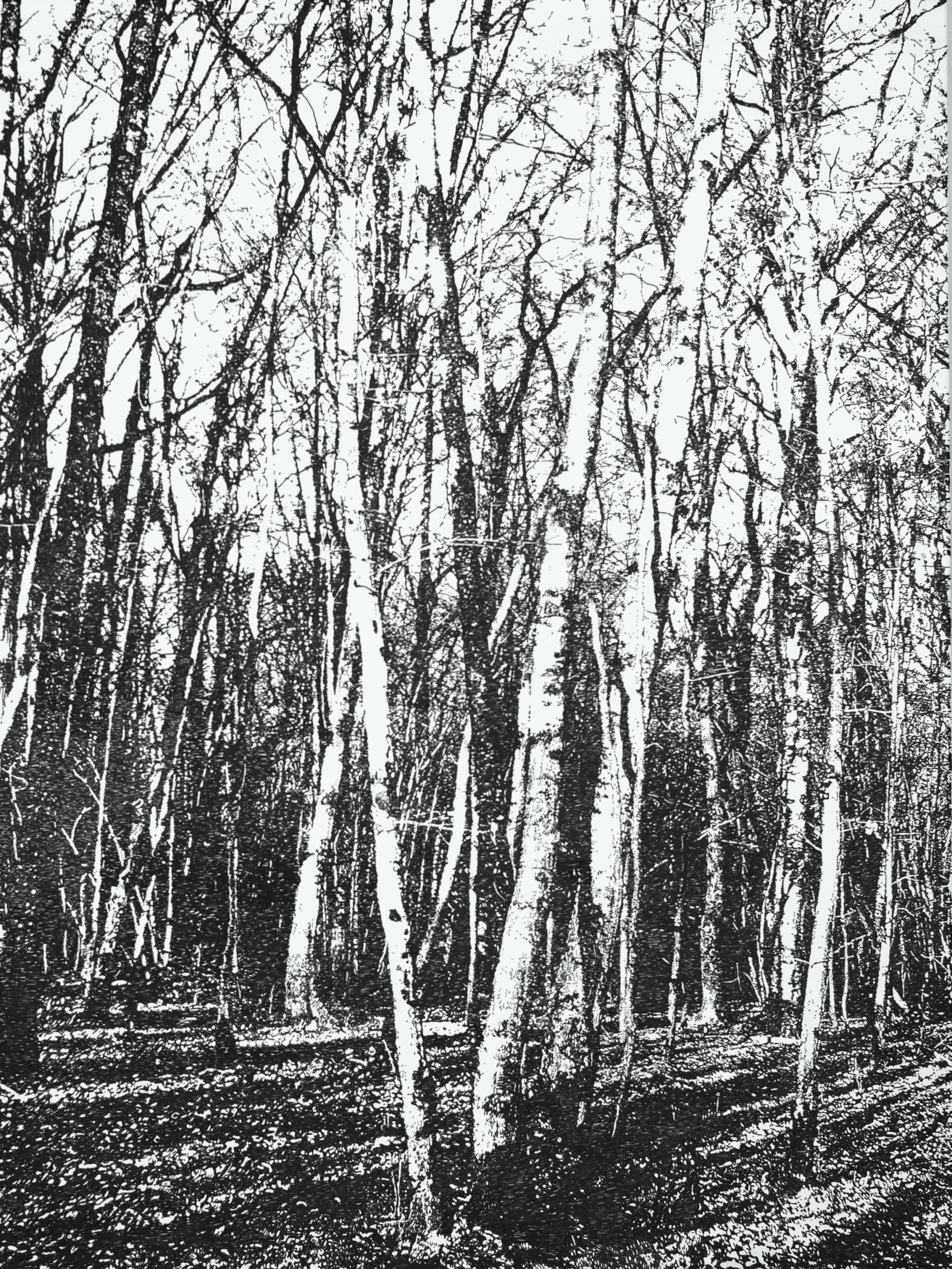 68-sans-titre-2018-encre-de-chine-sur-toile-cm-160x120