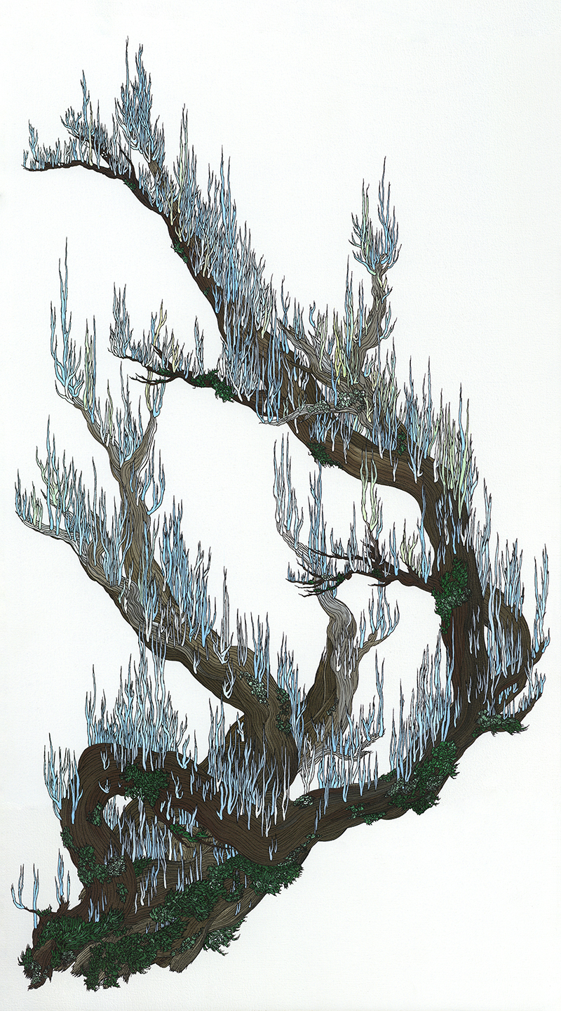 lichens-ciel-30x54-bois