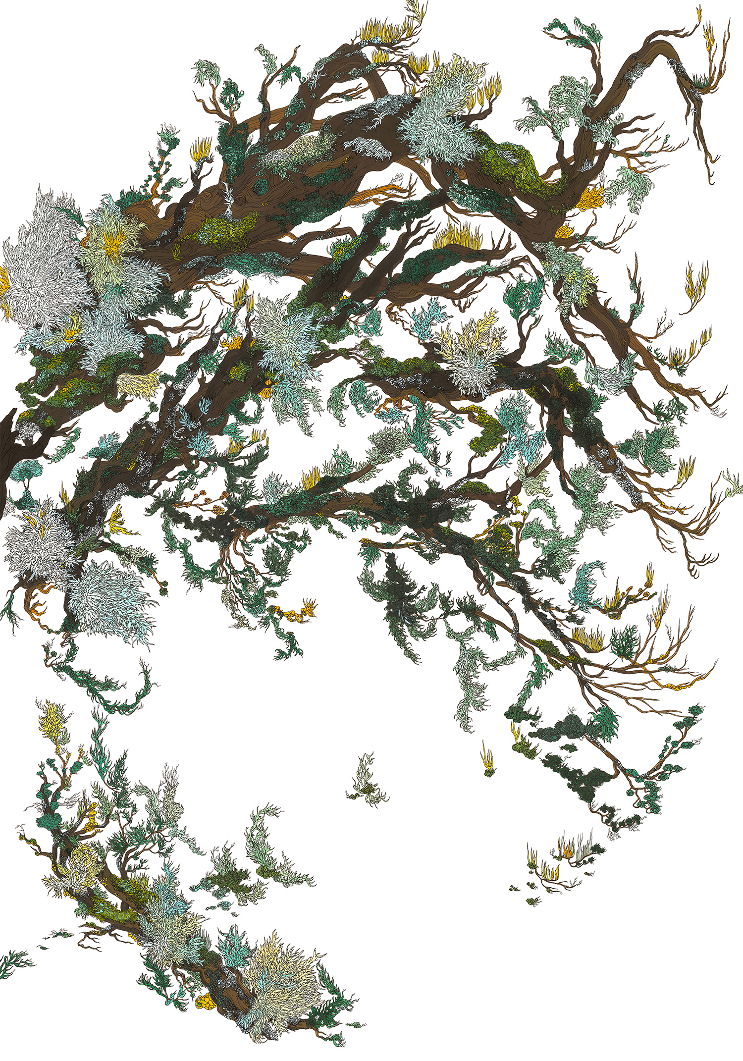 03_lavieduboismort_70x100cm