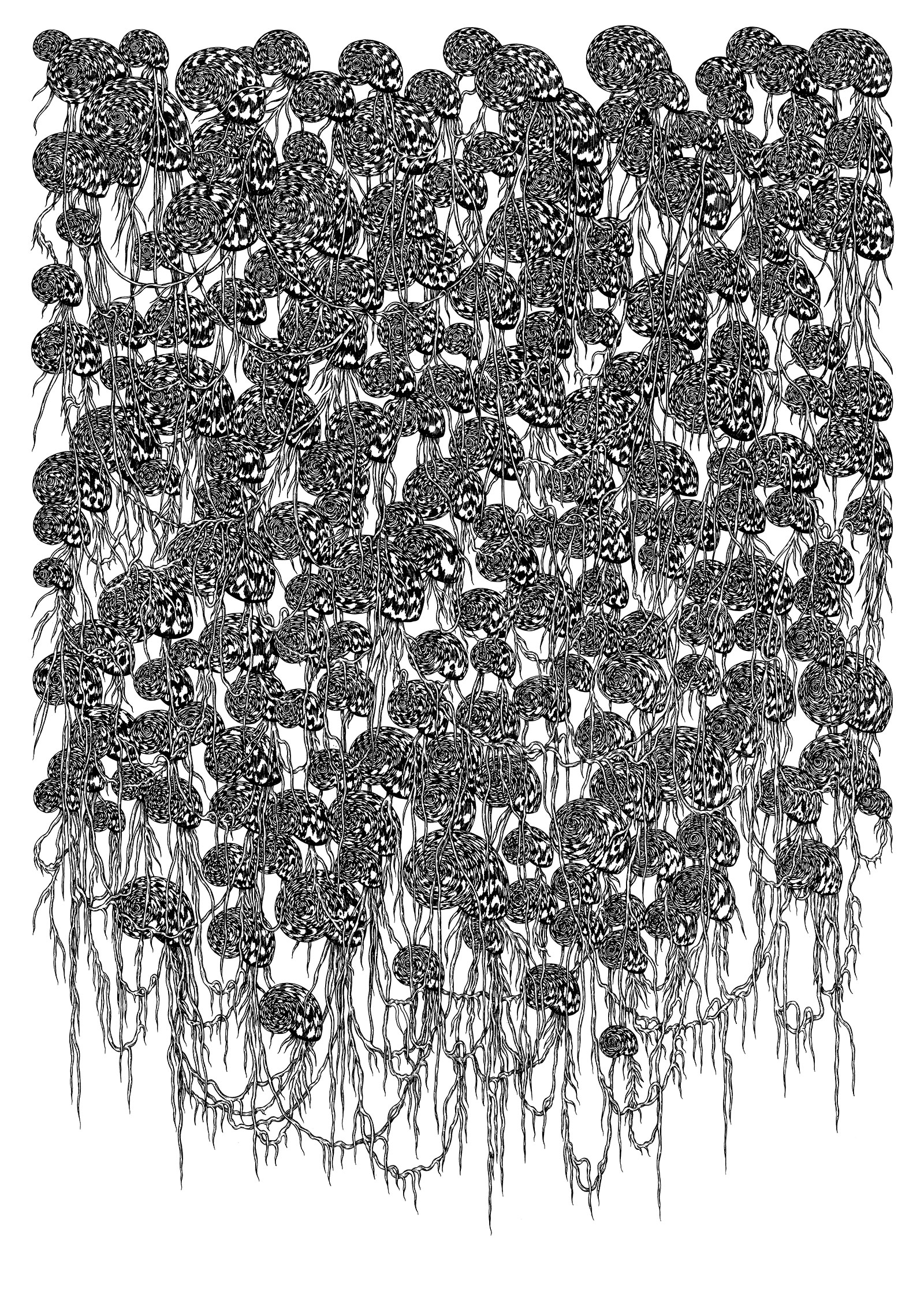 2024-a2-coquilles