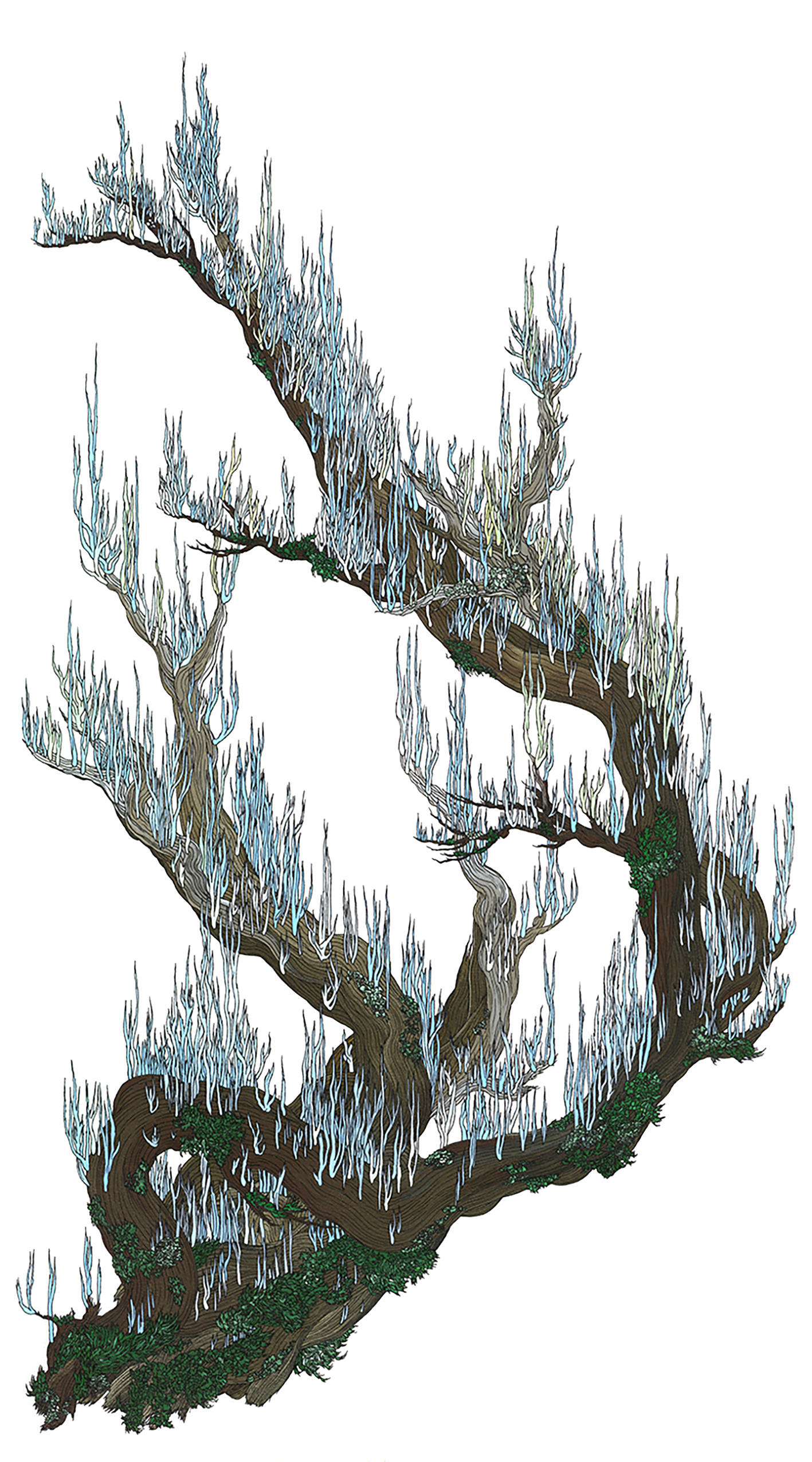 lichens-ciel-30x54-bois