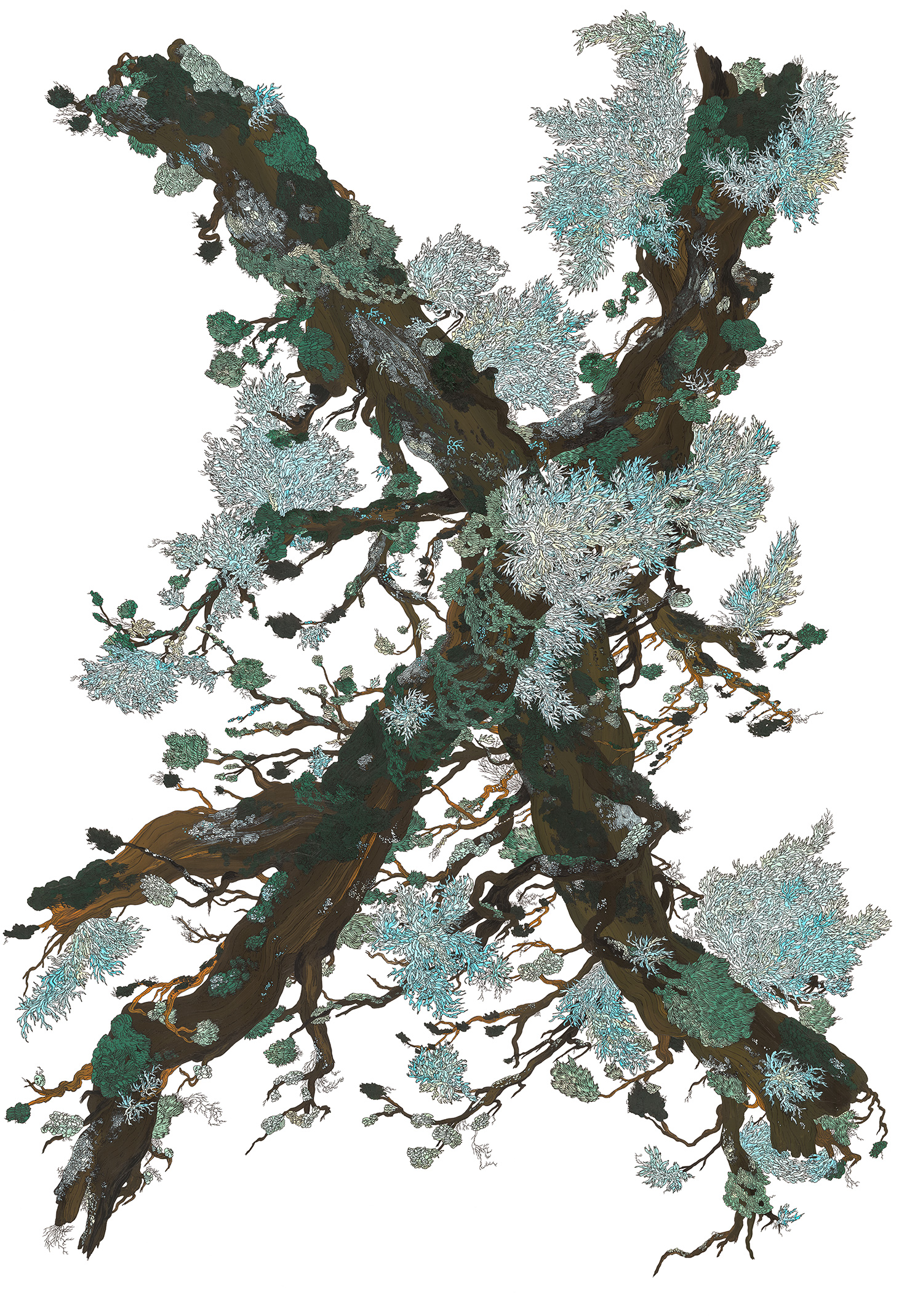 01_lavieduboismort_70x100cm