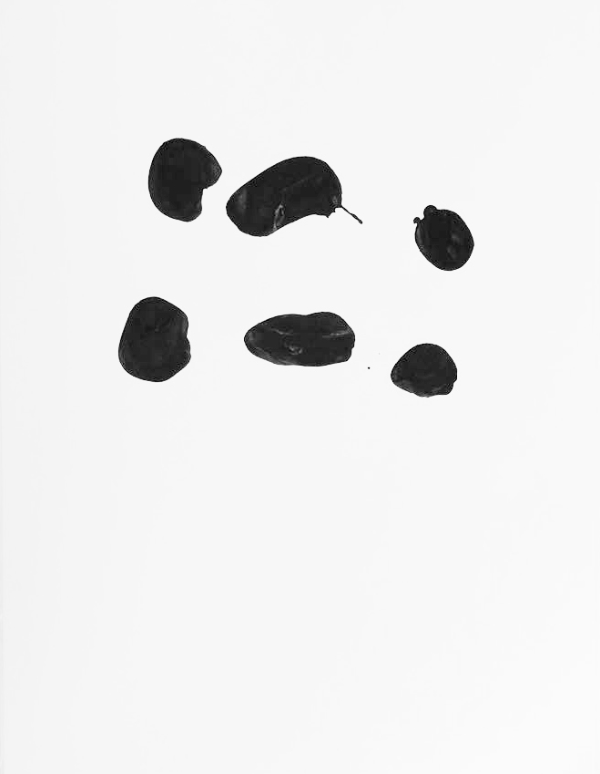 pb_encre_sur_papier_noir_1132_72dpi-2