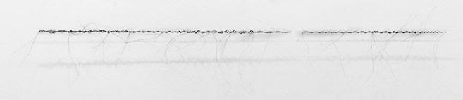 sculpture-de-crin-bs-313