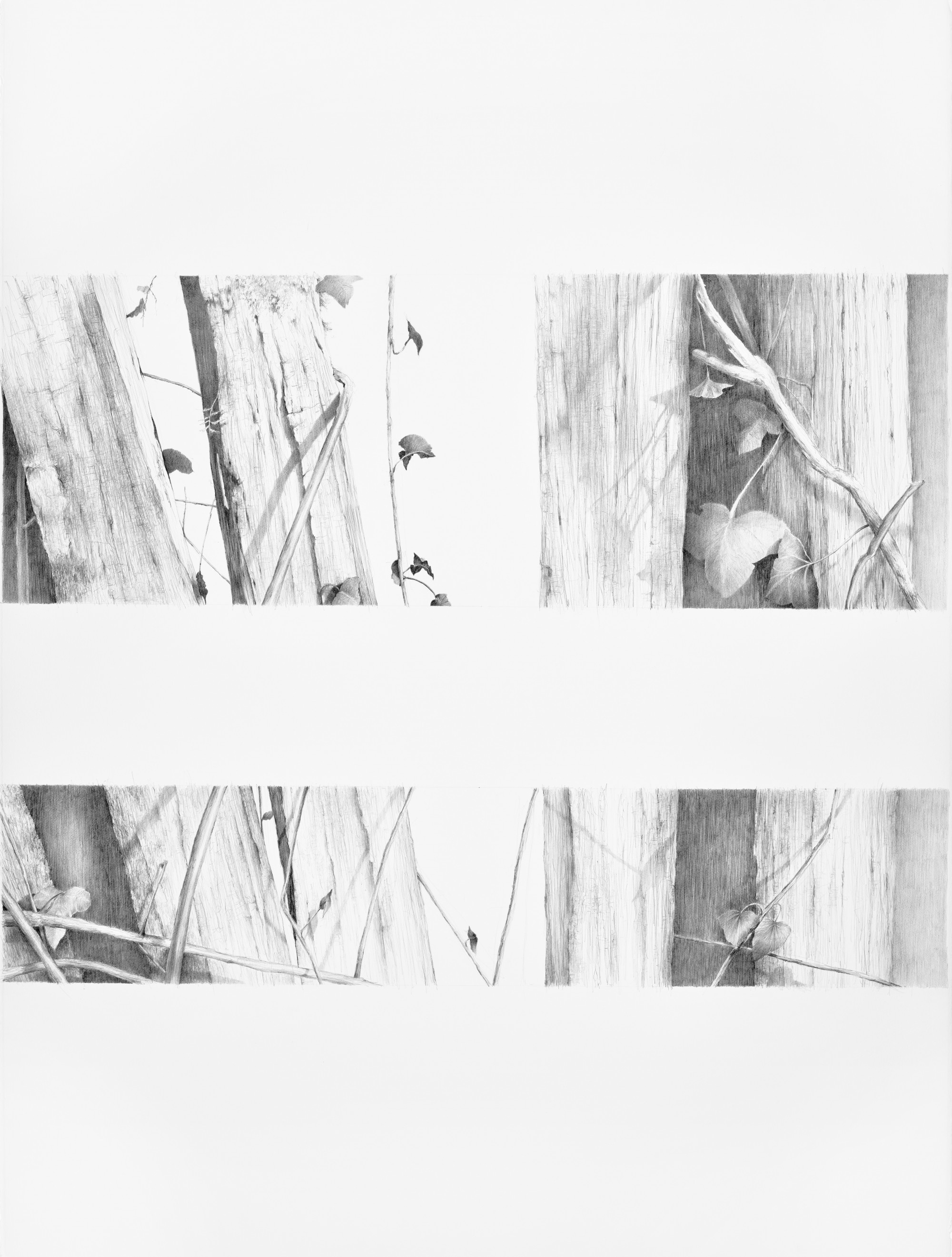 nb_silence-iv