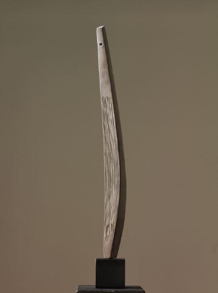 dana-1