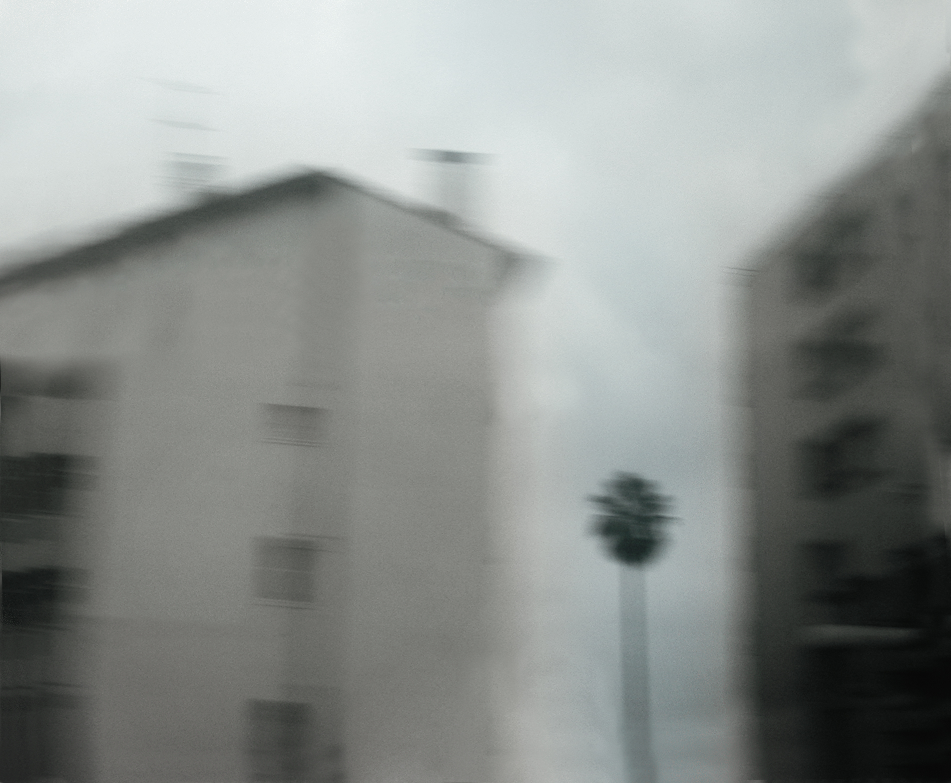 tgv-toulon-nice-architecture-et-arbre