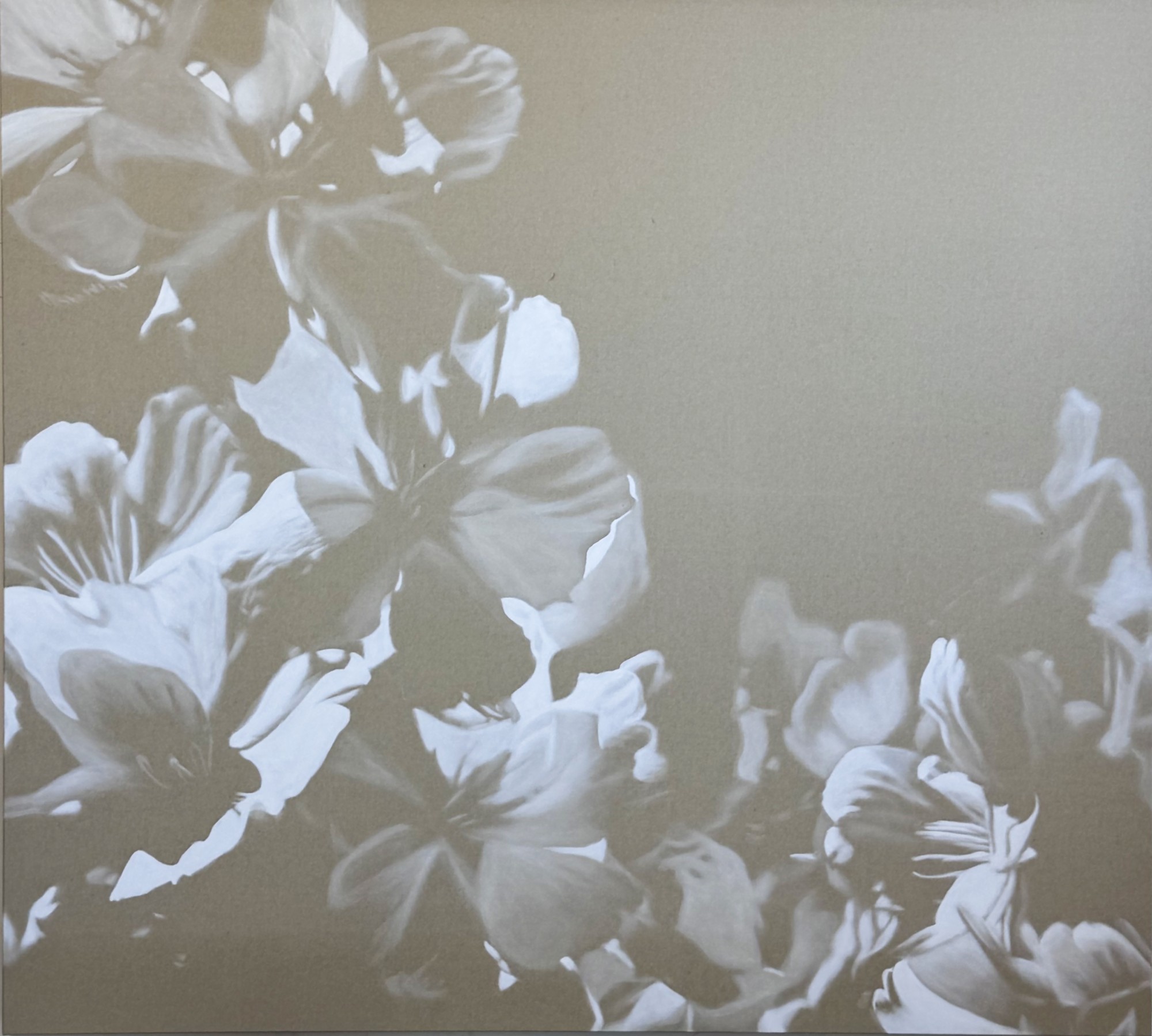 sakura-vi-180x200cm