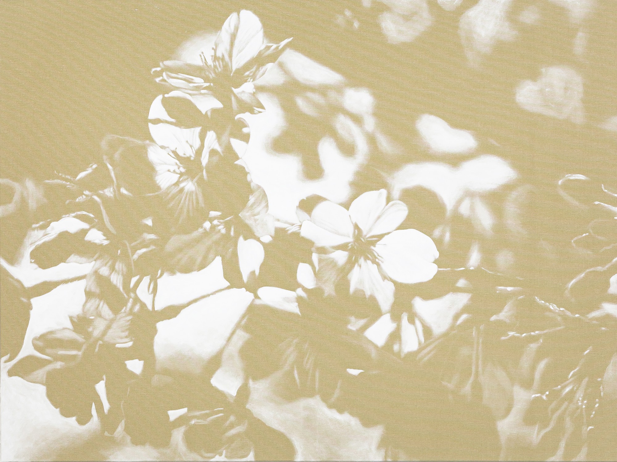 4-sakura-lv-2025-ladinagaudenzphoto-raphaellemueller-4