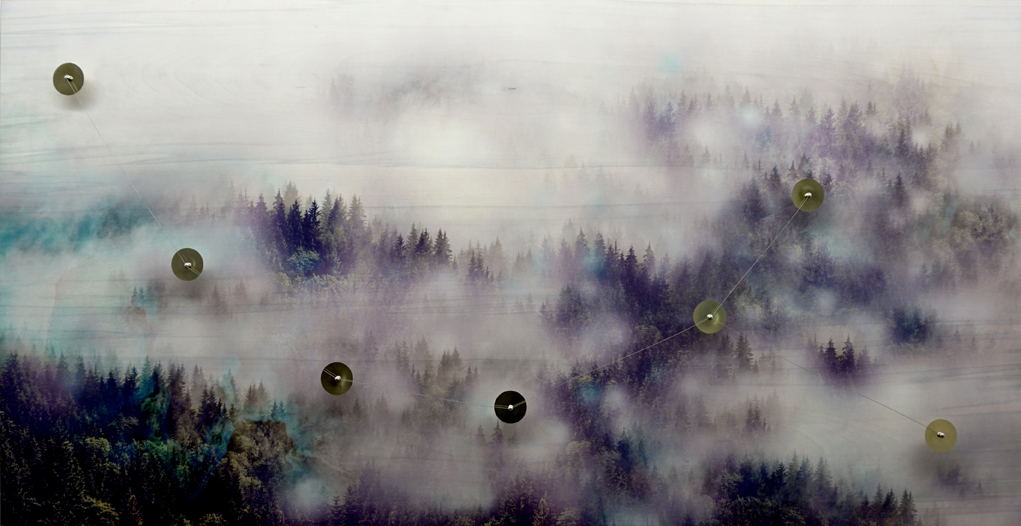 constellation-des-sapins