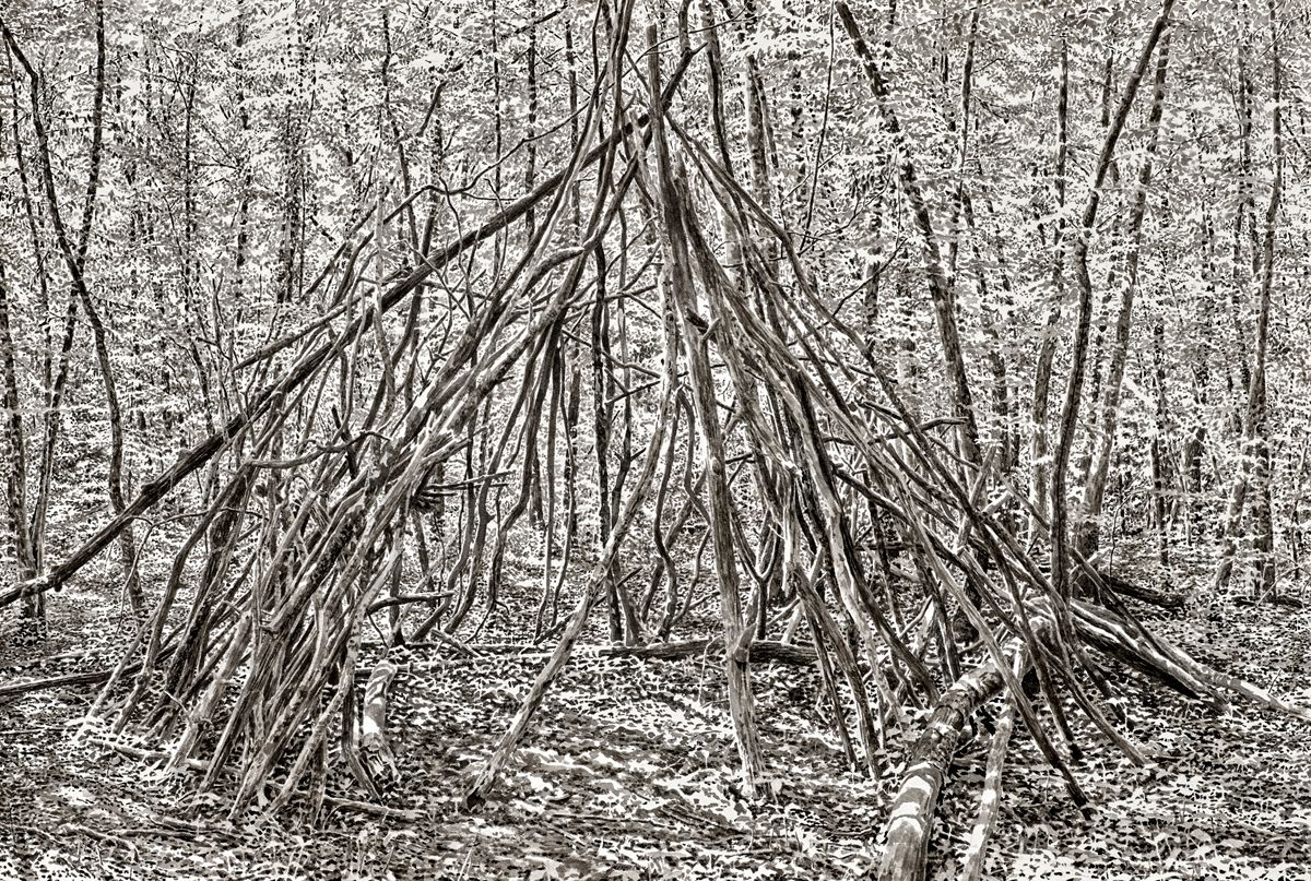 cabane-aout-20-encre-sur-papier-47x70cm