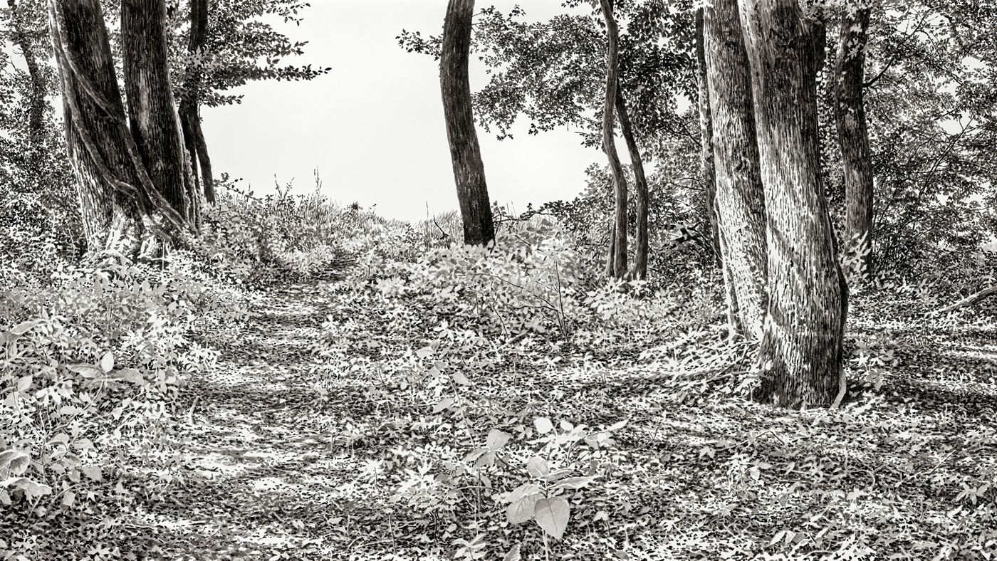 lisiere-juillet-20-encre-sur-papier-39x70cm