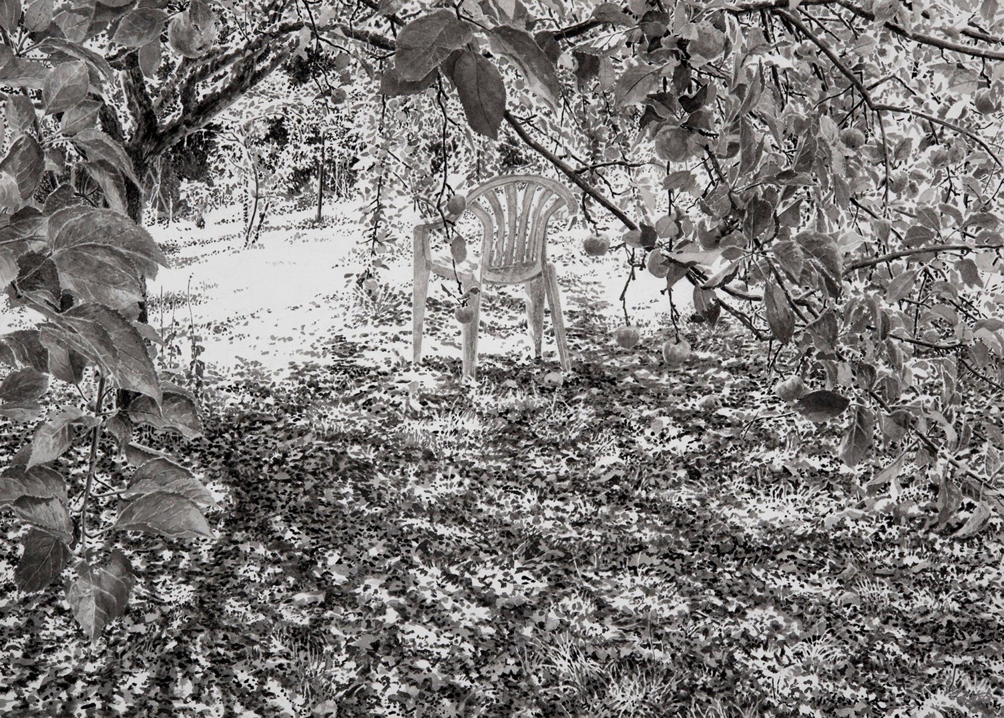 jardin-septembre-18-encre-sur-papier-50-x-70cm