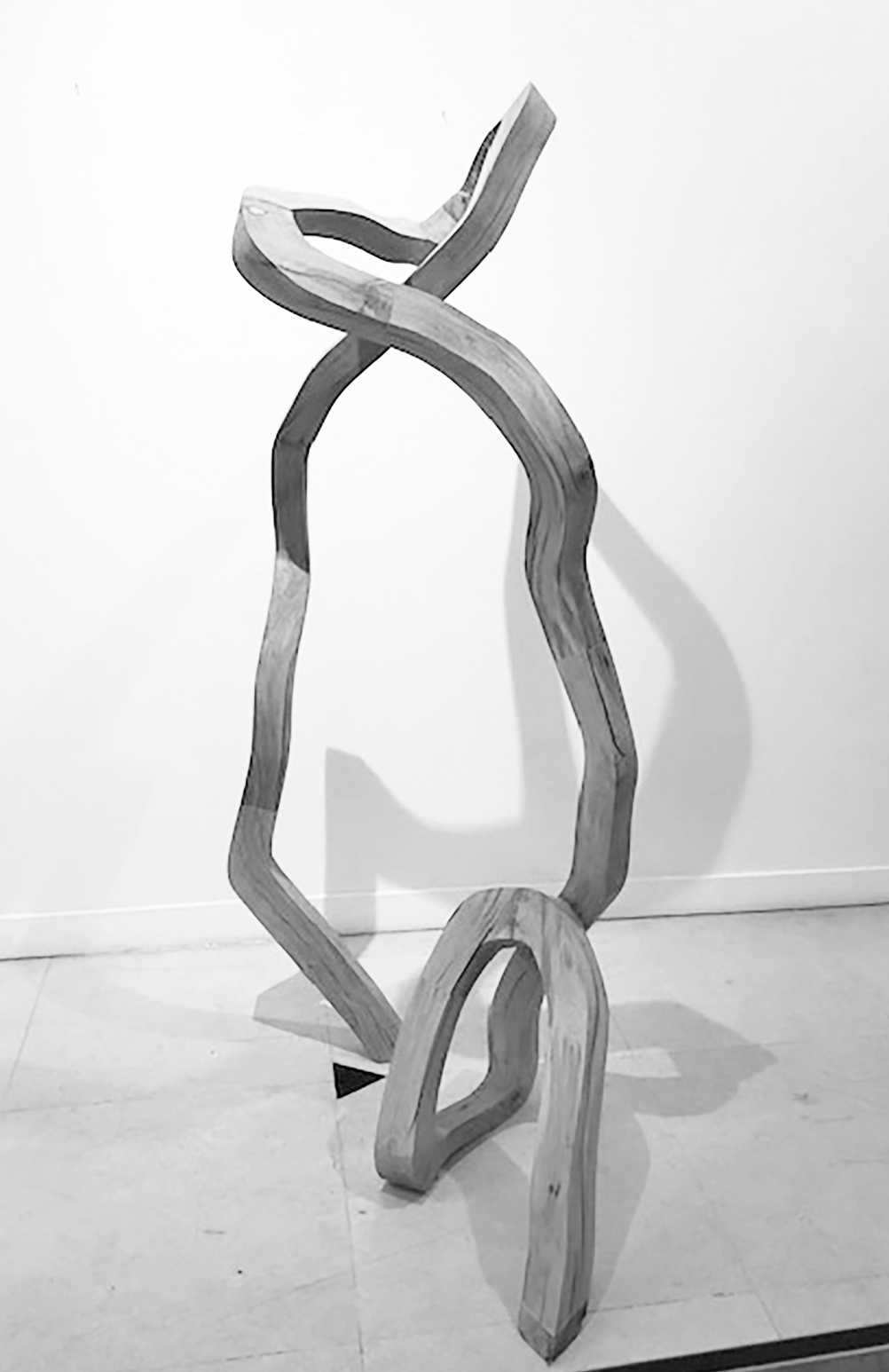 laurent-de-pury-sans-titre-2021-2022-divers-bois-170-x-100-cm