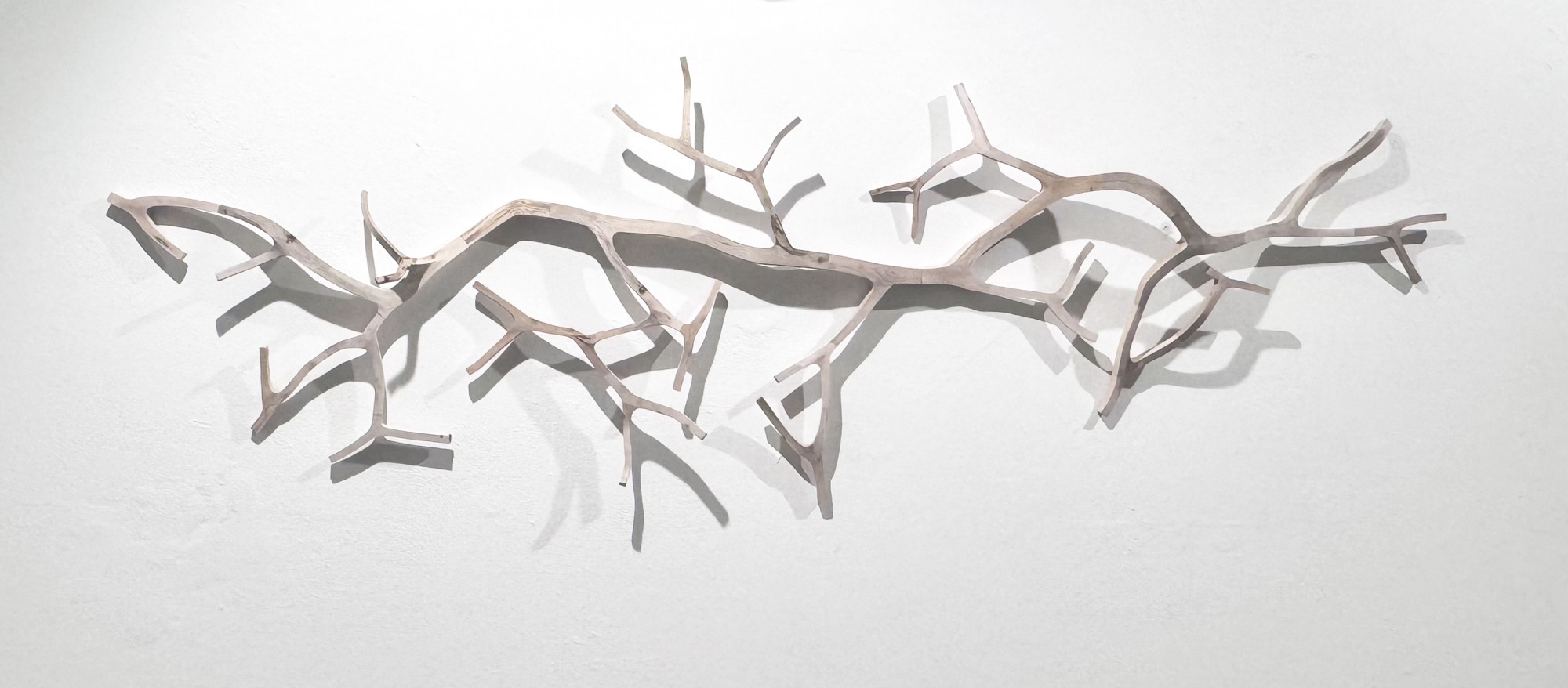 img_2726