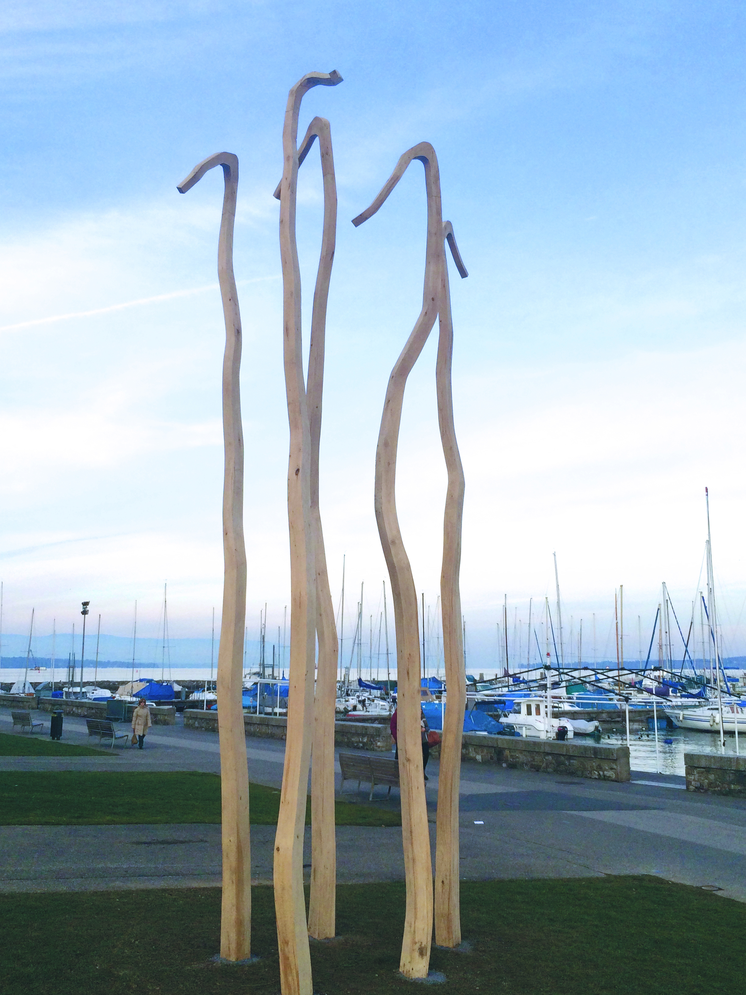 sans-titre-bois-de-chene-env.6-20-m-art-geneve-2016-hors-les-murs-janvier-mars-2016-quai-wilson-geneve