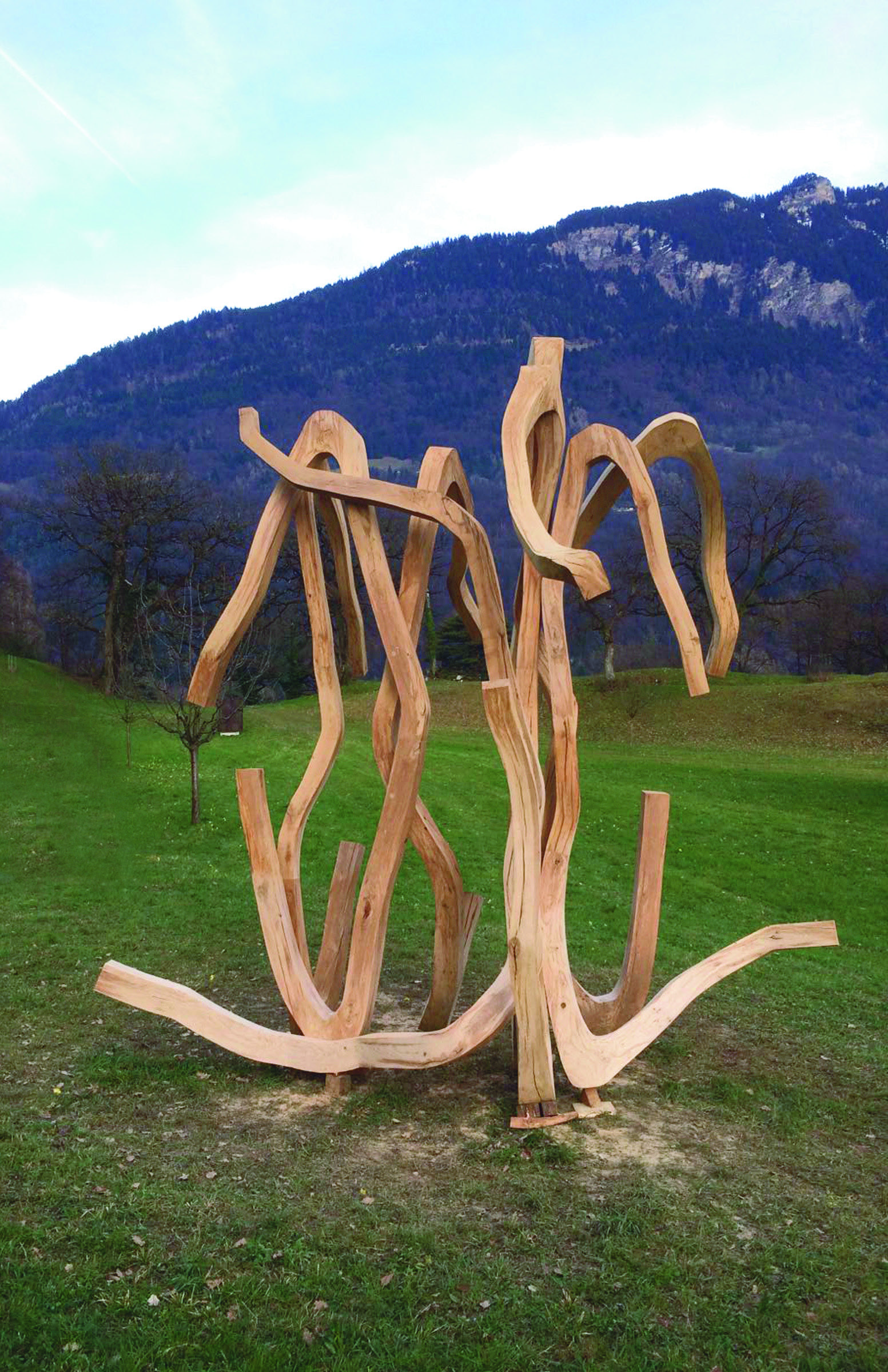iii-sans-titre-2017-divers-bois-env.400-cm-triennale-de-la-sculpture-bex