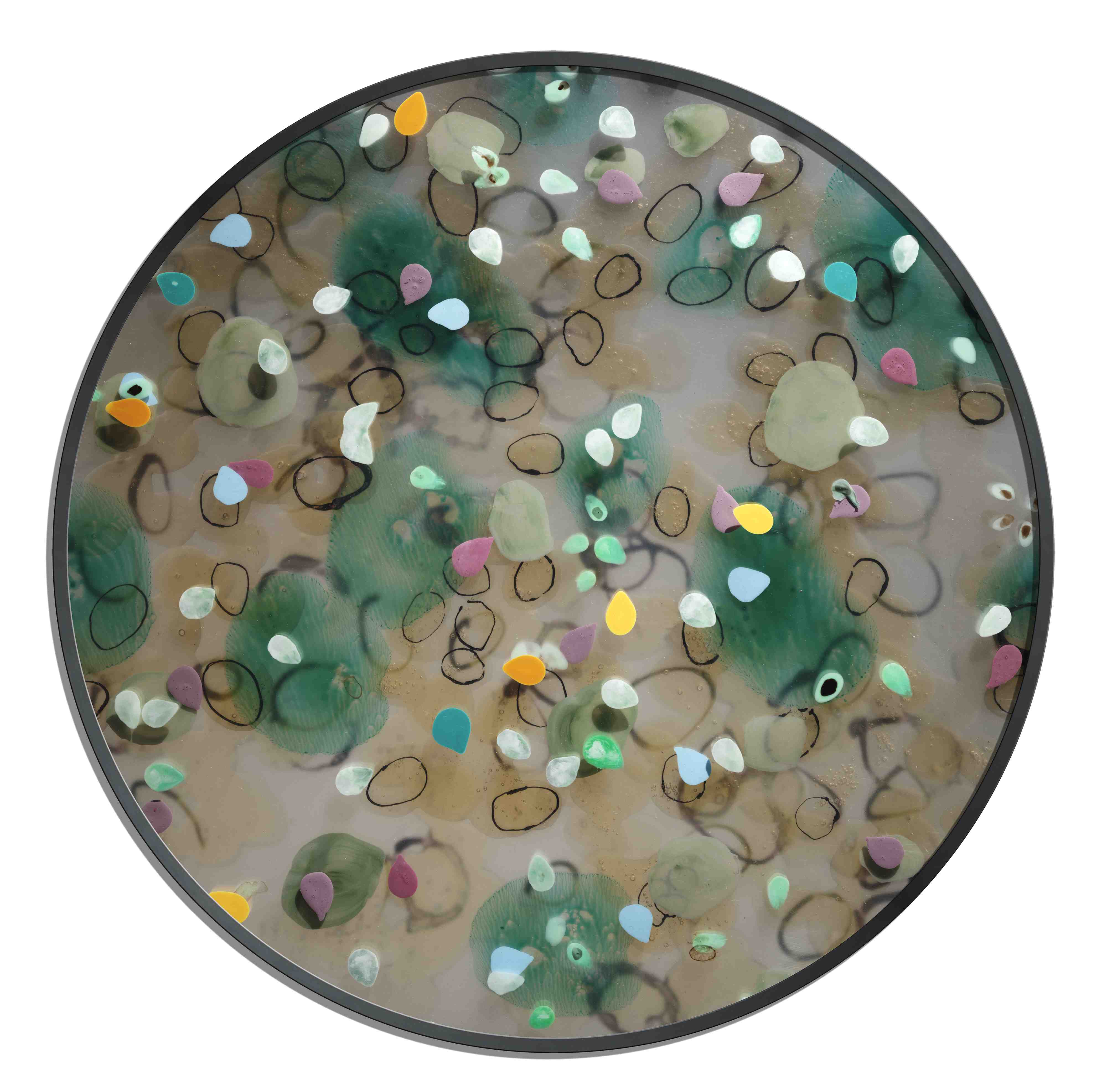 germinations-2
